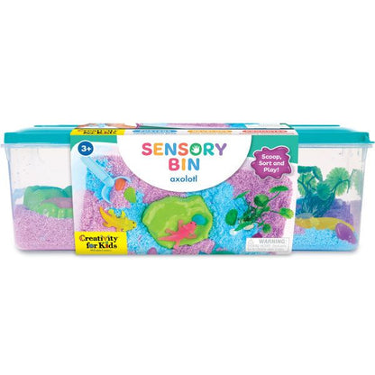 Sensory Bins