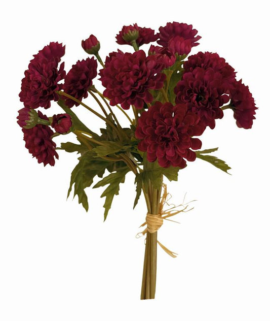 Wild Mum Bundle
