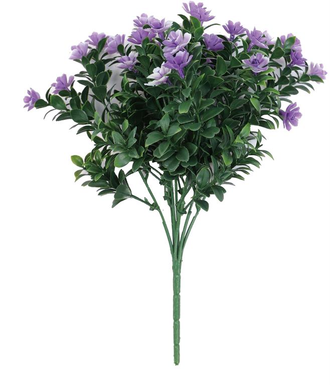 Mini Azalea Bush