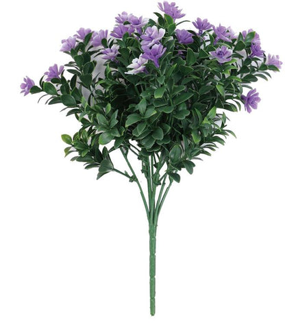 Mini Azalea Bush