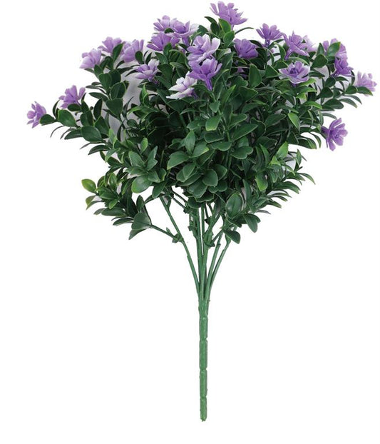 Mini Azalea Bush