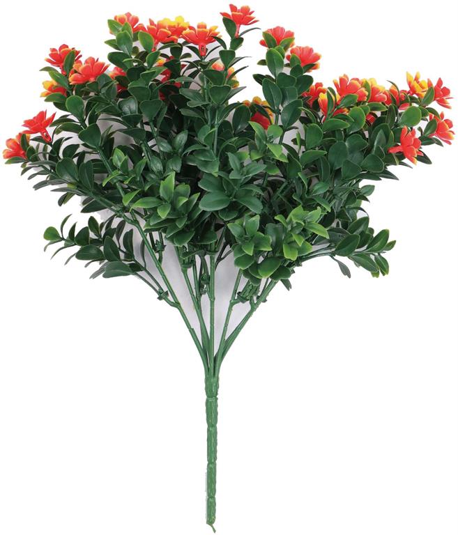 Mini Azalea Bush