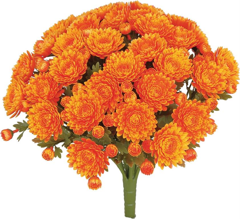 Mum Bush