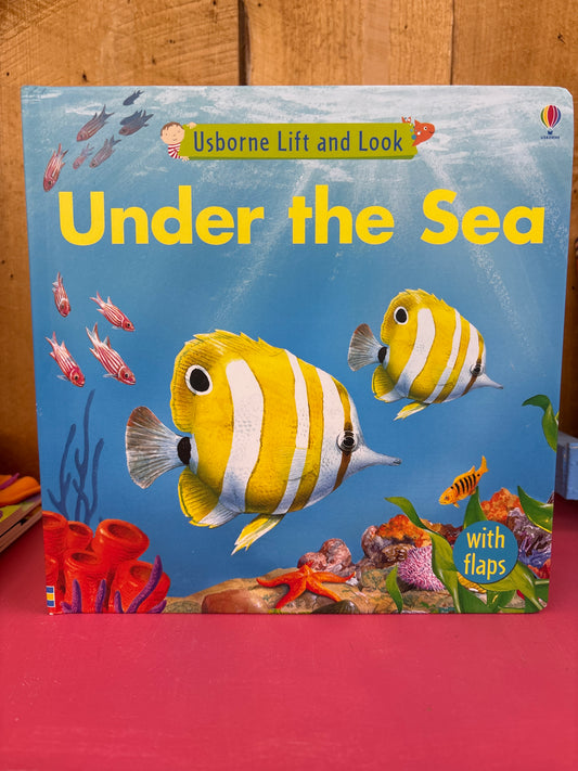 Usborne Lift and Look