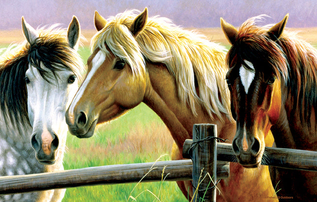 Sunsout 1000 Piece Puzzles