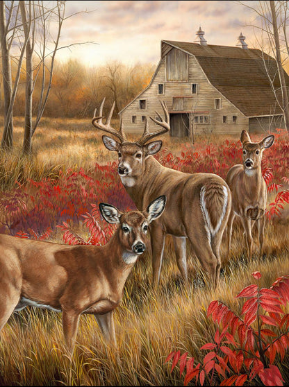 Sunsout 1000 Piece Puzzles