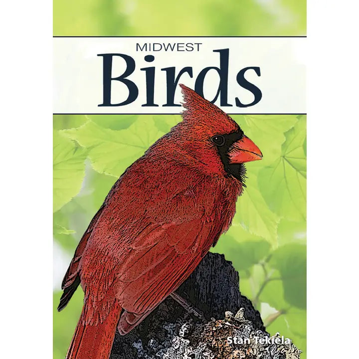 Nature Playing Cards