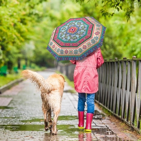 Compact Manual Umbrella