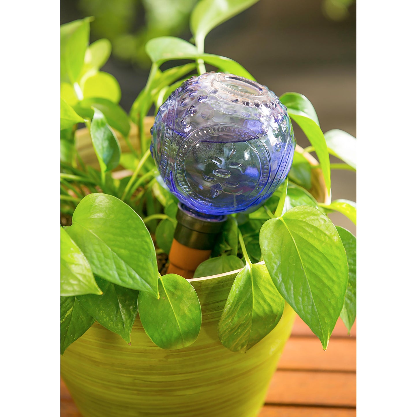 Glass Watering Globe With Terracotta Spike