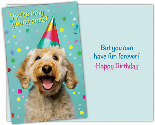 Stockwell 99 ₵ Birthday Cards