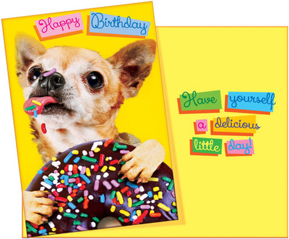 Stockwell 99 ₵ Birthday Cards