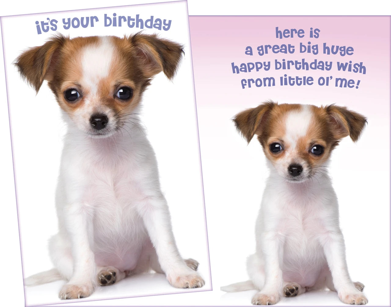 Stockwell 99 ₵ Birthday Cards