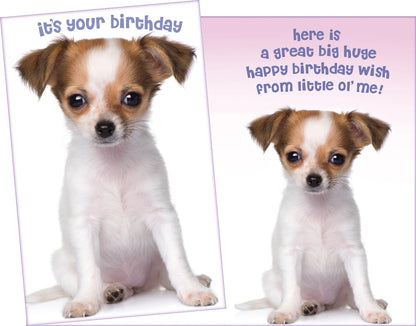 Stockwell 99 ₵ Birthday Cards