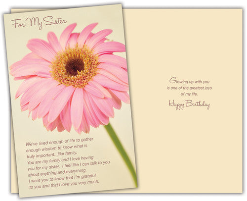 Stockwell 99 ₵ Holiday Cards