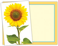 Stockwell 99 ₵ Holiday Cards