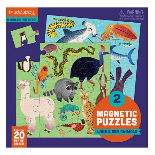 Magnet Puzzles