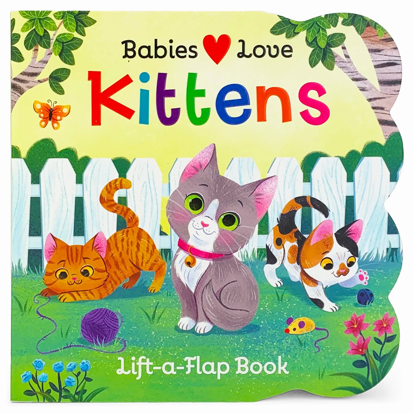 Lift-a-Flap Books