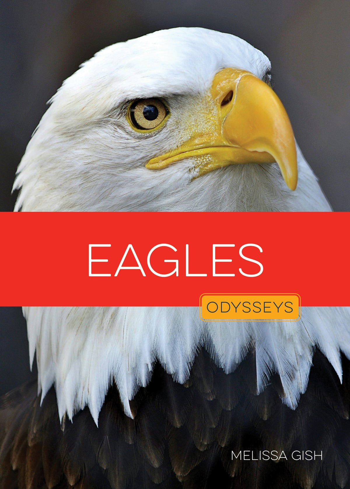 Odyssey's