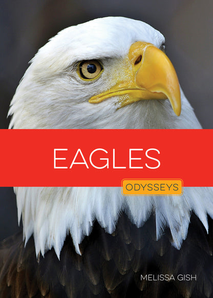 Odyssey's