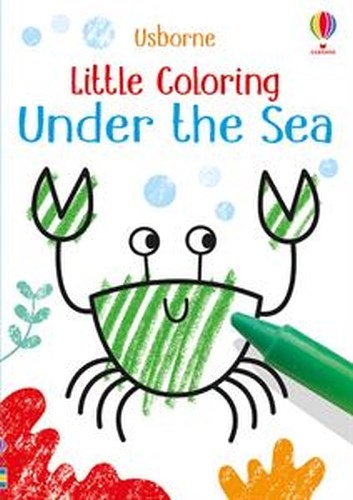 Usborne Little Coloring Books