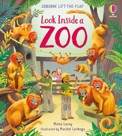 Usborne Lift-The-Flap Look Inside