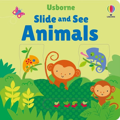 Usborne Slide and See Books