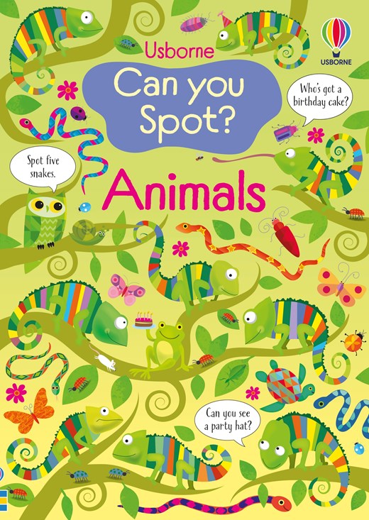 Usborne Can You Spot?