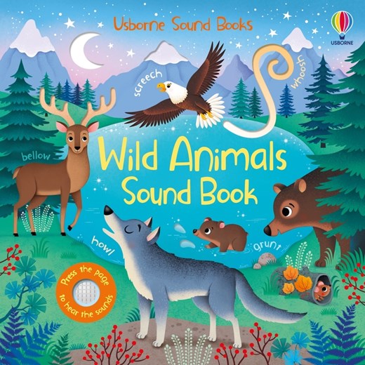 Usborne Sound Books