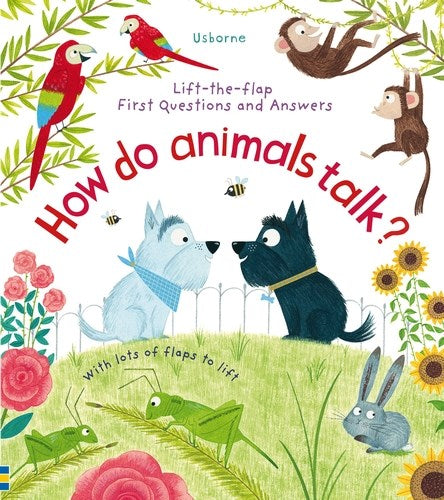 Usborne First Q&A Lift-the-Flap Books