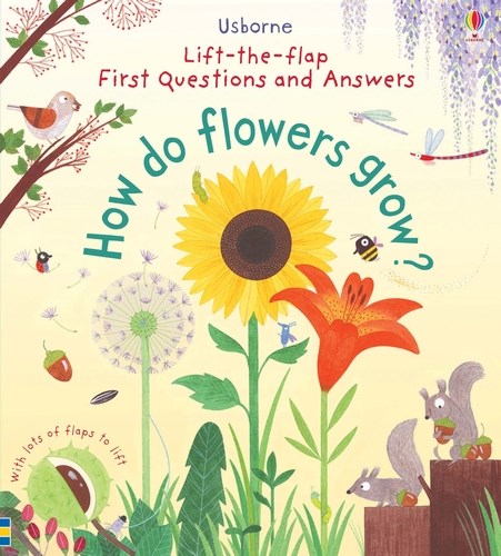 Usborne First Q&A Lift-the-Flap Books