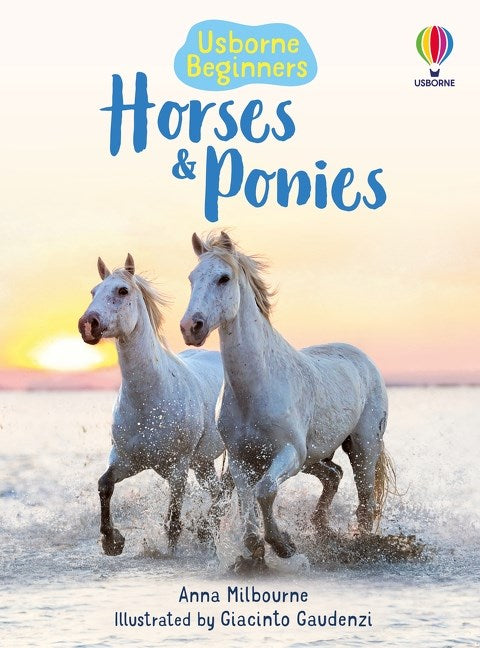 Usborne Beginners