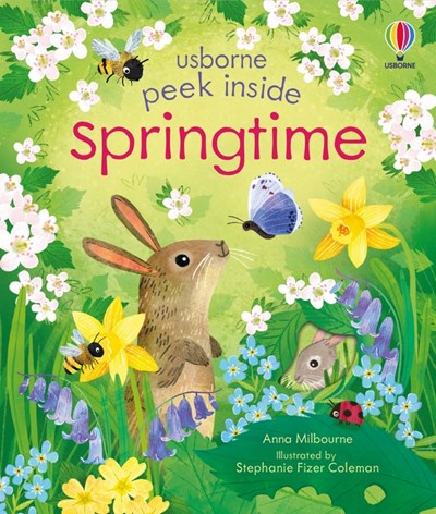 Usborne Peek Inside