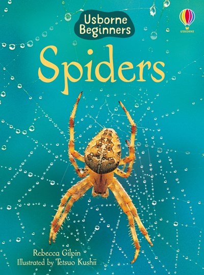 Usborne Beginners