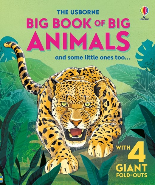 Usborne Big Book