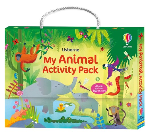Usborne Activity Pack