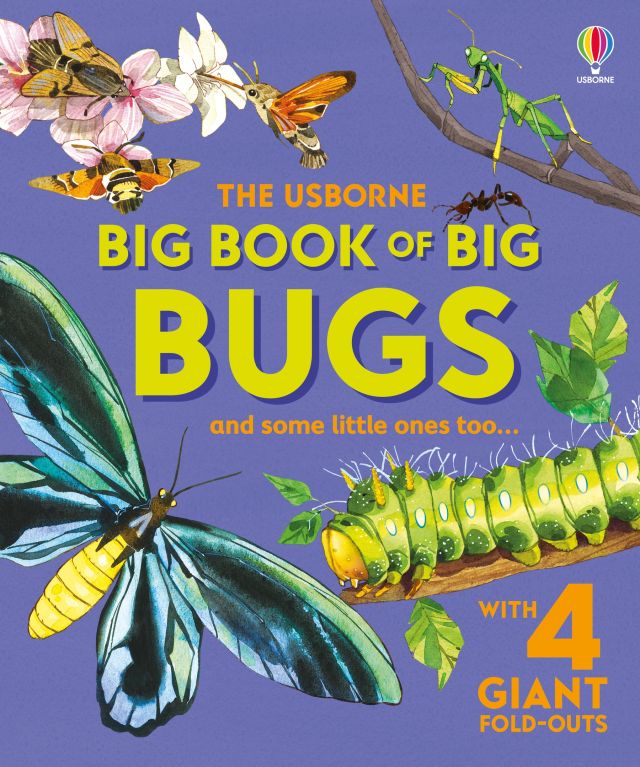 Usborne Big Book