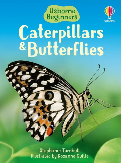 Usborne Beginners