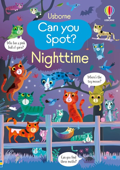 Usborne Can You Spot?