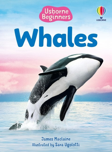 Usborne Beginners