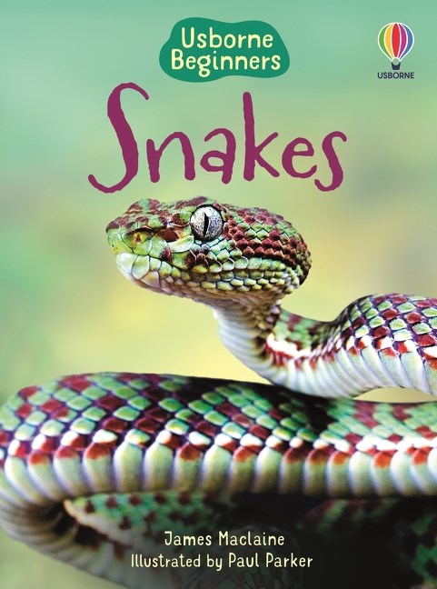 Usborne Beginners
