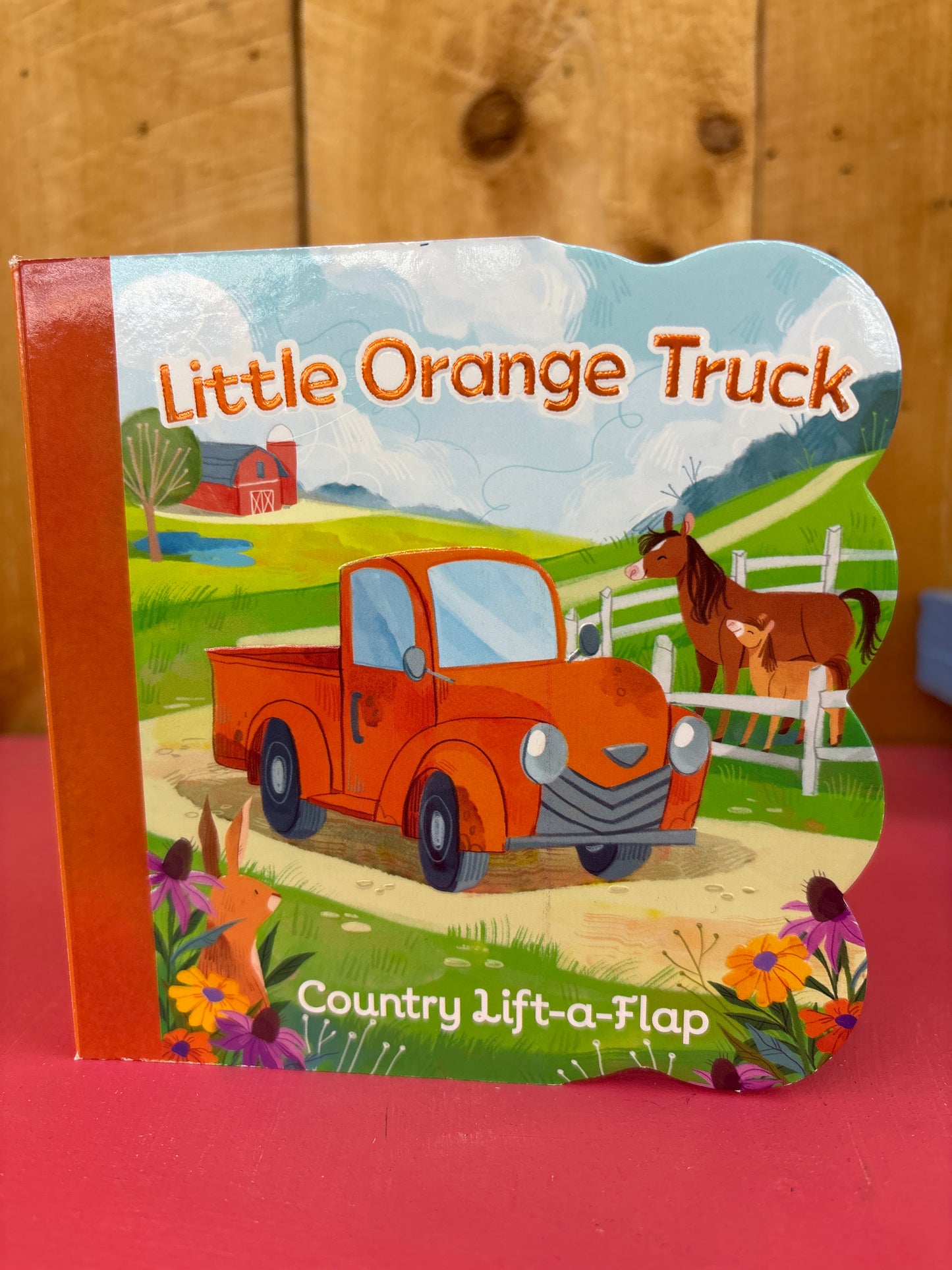 Lift-a-Flap Books