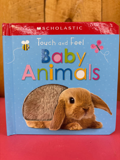 Scholastic Touch and Feel Books