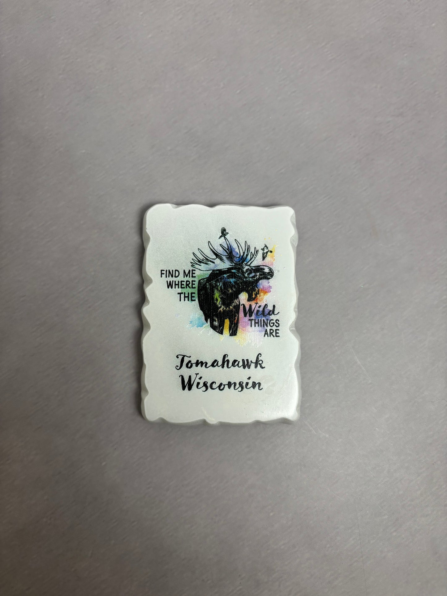 Find Me Where Moose Watercolor Magnet