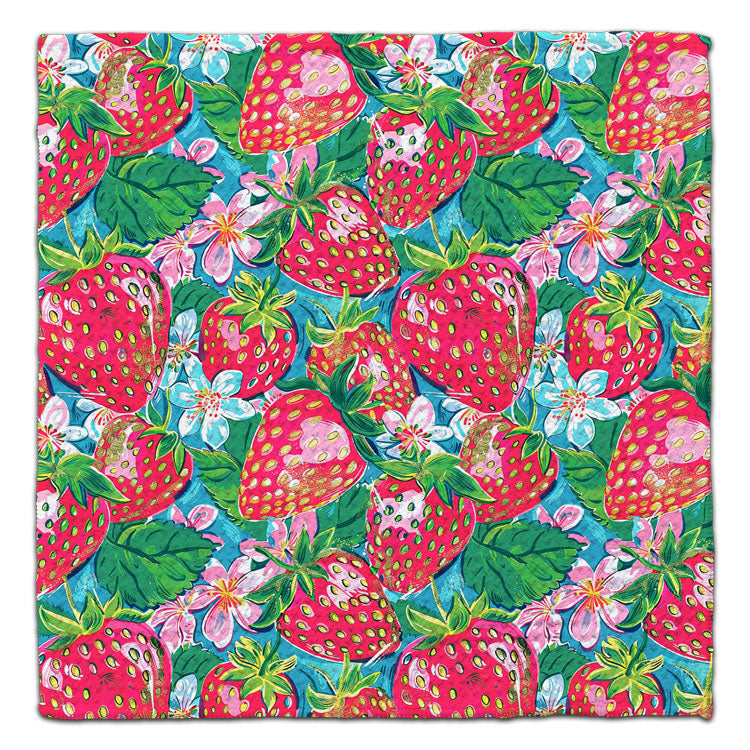CJ Bella Eco-Friendly Dishcloths