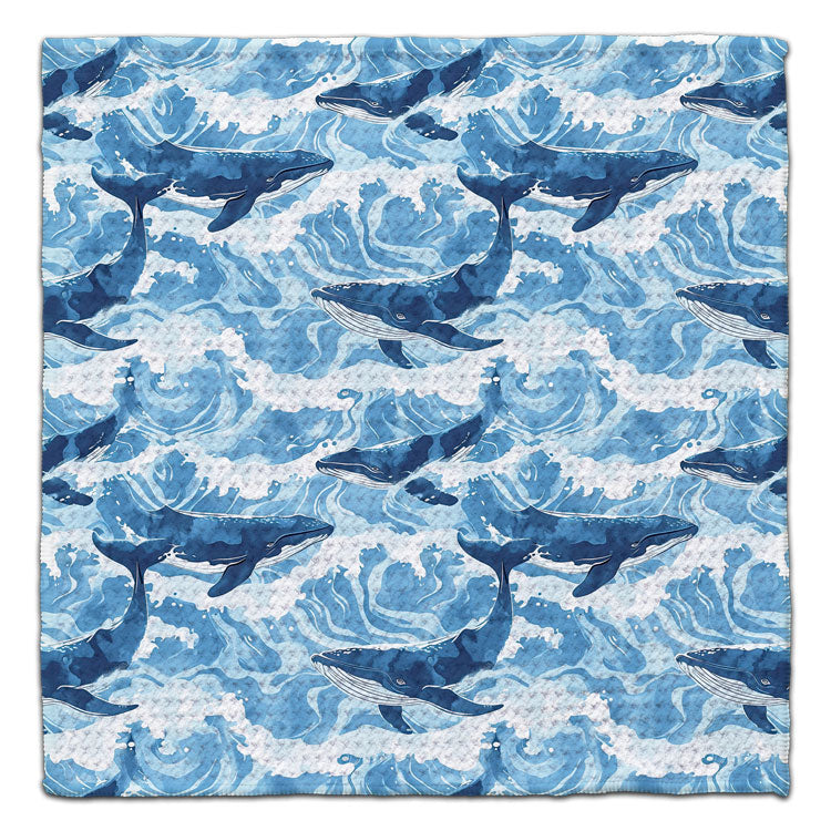 CJ Bella Eco-Friendly Dishcloths