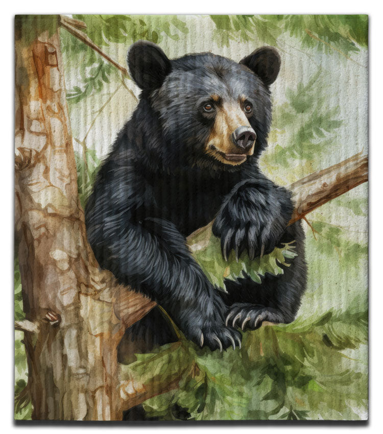 CJ Bella Eco-Friendly Dishcloths