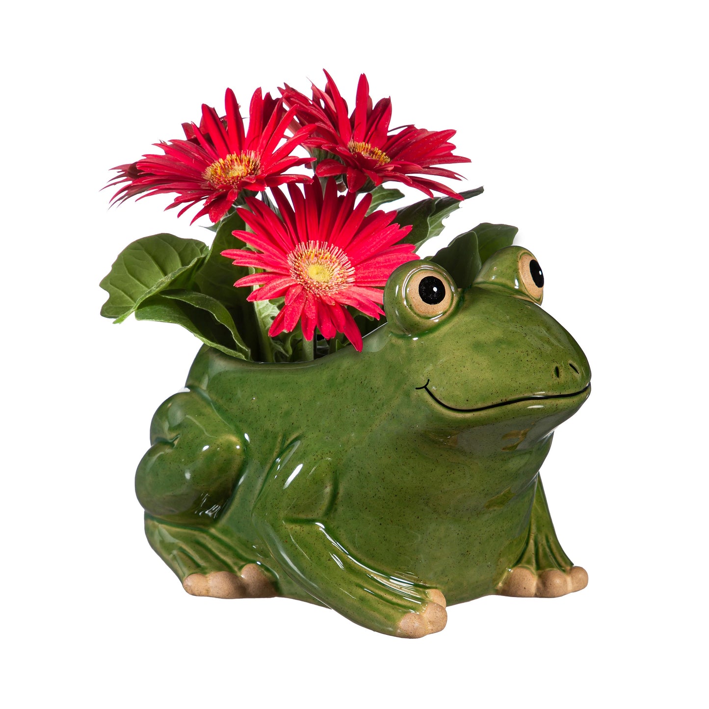 Ceramic Frog Planter