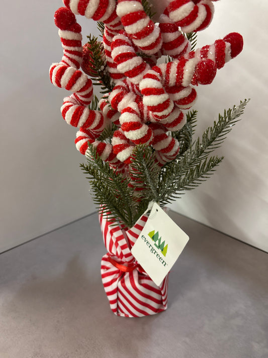 22" Candy Cane Potted Tree