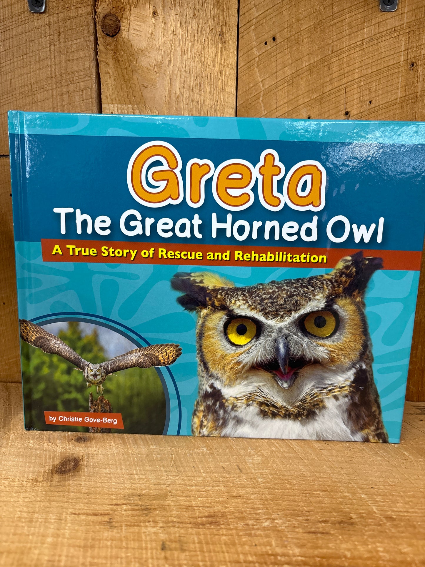 Great The Great Horned Owl