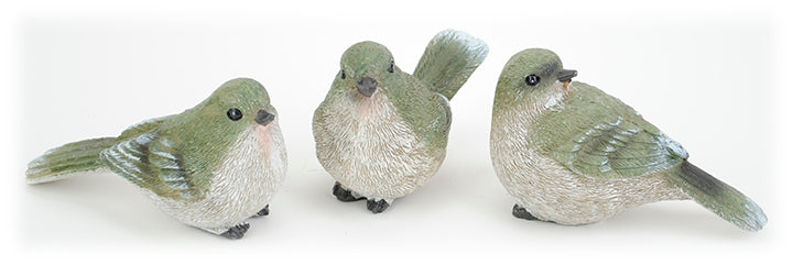 Green Songbirds